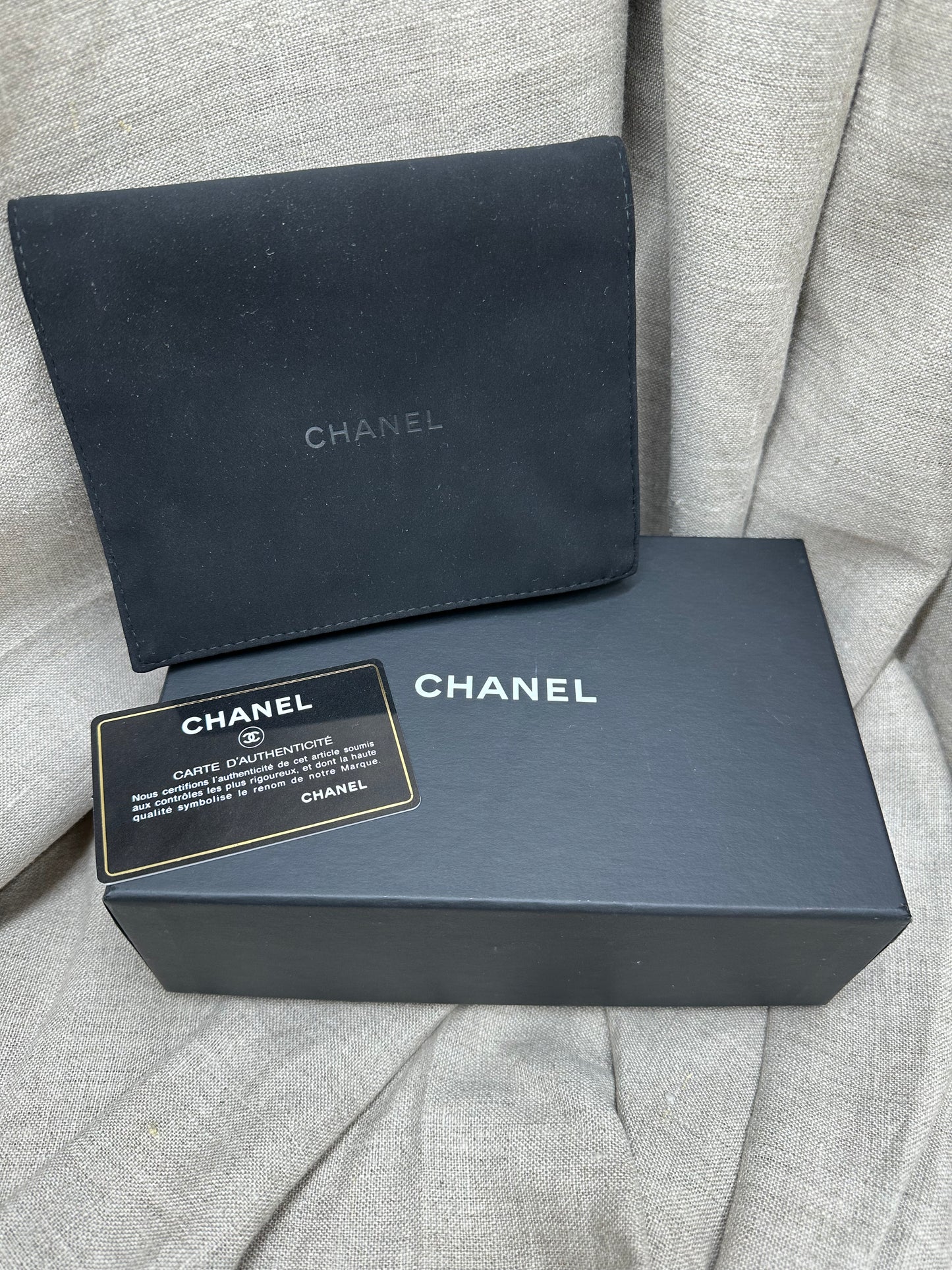 Chanel 19 Coin Flap crossbody