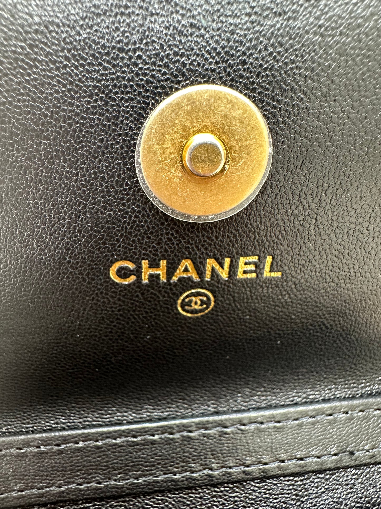 Chanel 19 Coin Flap crossbody