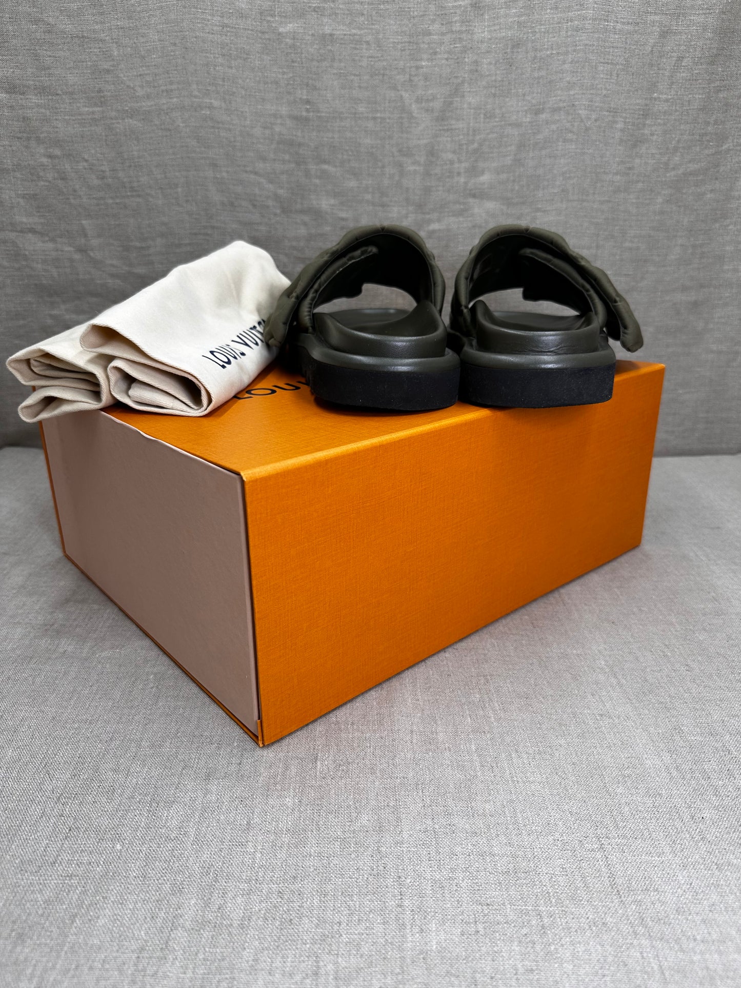 Louis Vuitton Pool Pillow Slip in Mules