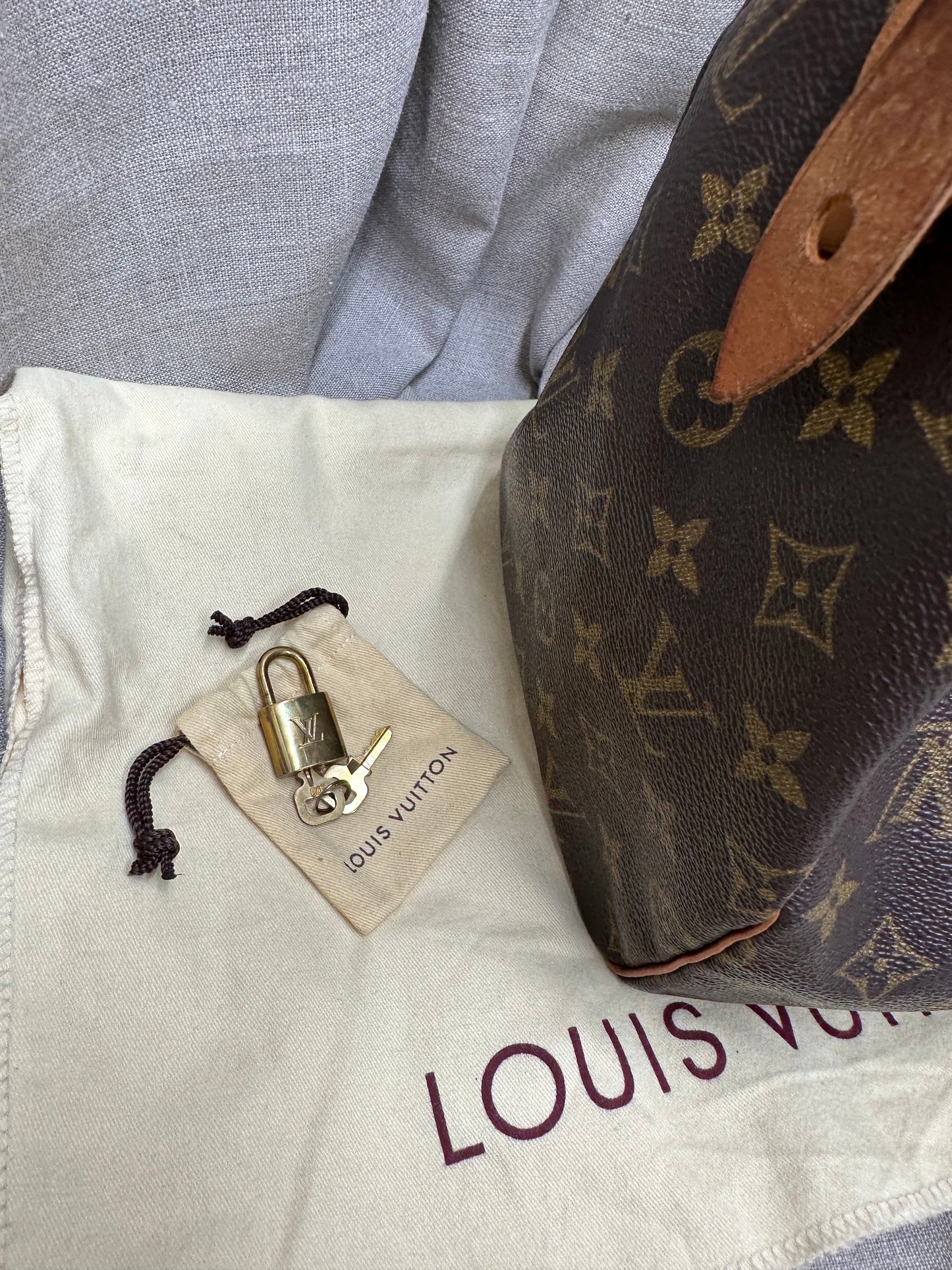 Louis Vuitton Speedy 30 monogram